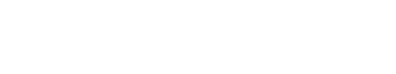 BRAVURA MARKETING